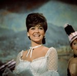Suzanne Pleshette: the Life and Legacy of a Hollywood Icon